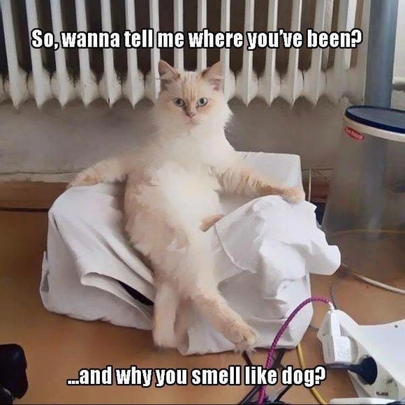 CLOSING TO TRAVEL! - Picture 5 of 9